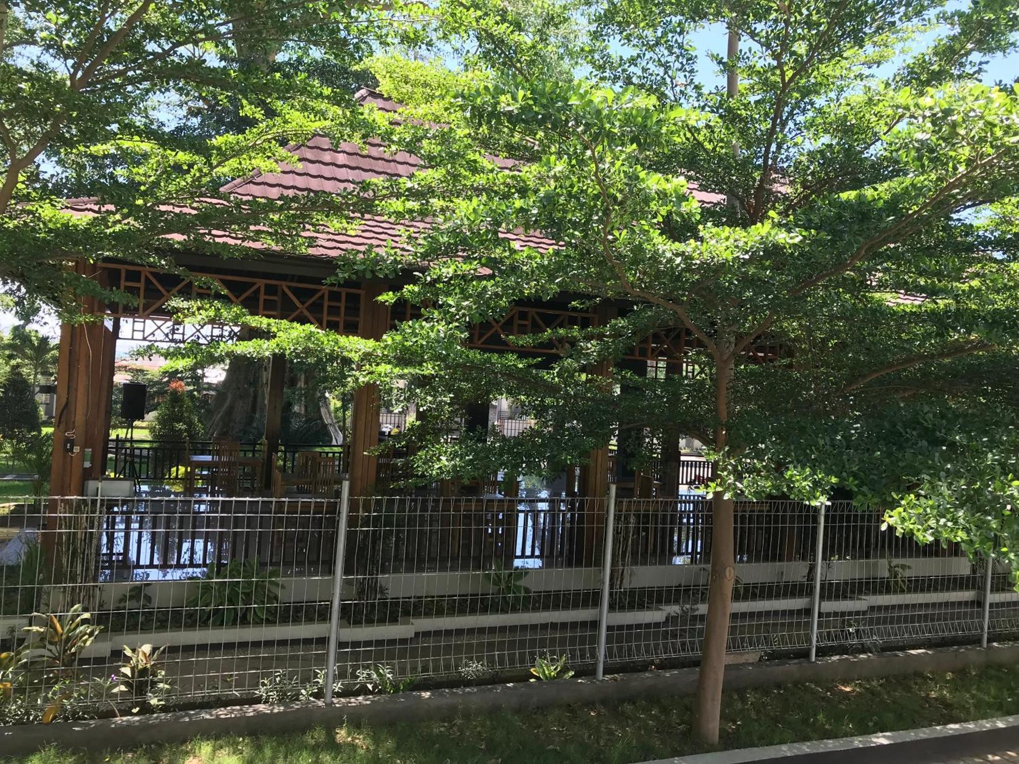Pohon Purba Resort & Restaurant Labuhan Pandan Ngoại thất bức ảnh