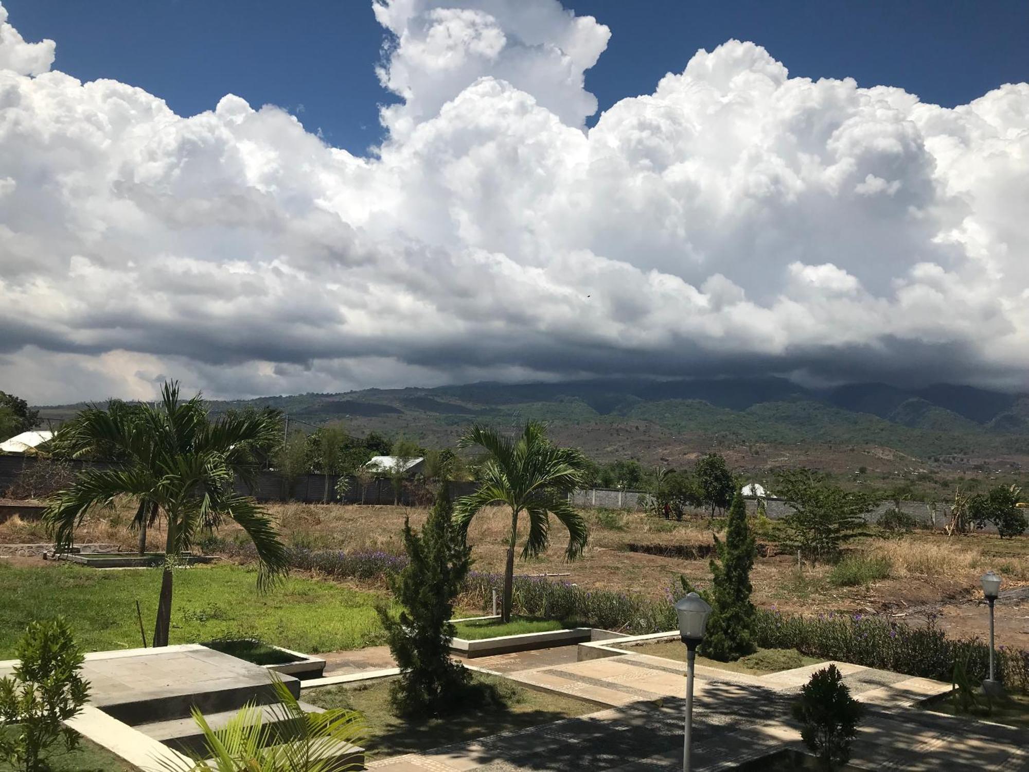 Pohon Purba Resort & Restaurant Labuhan Pandan Ngoại thất bức ảnh