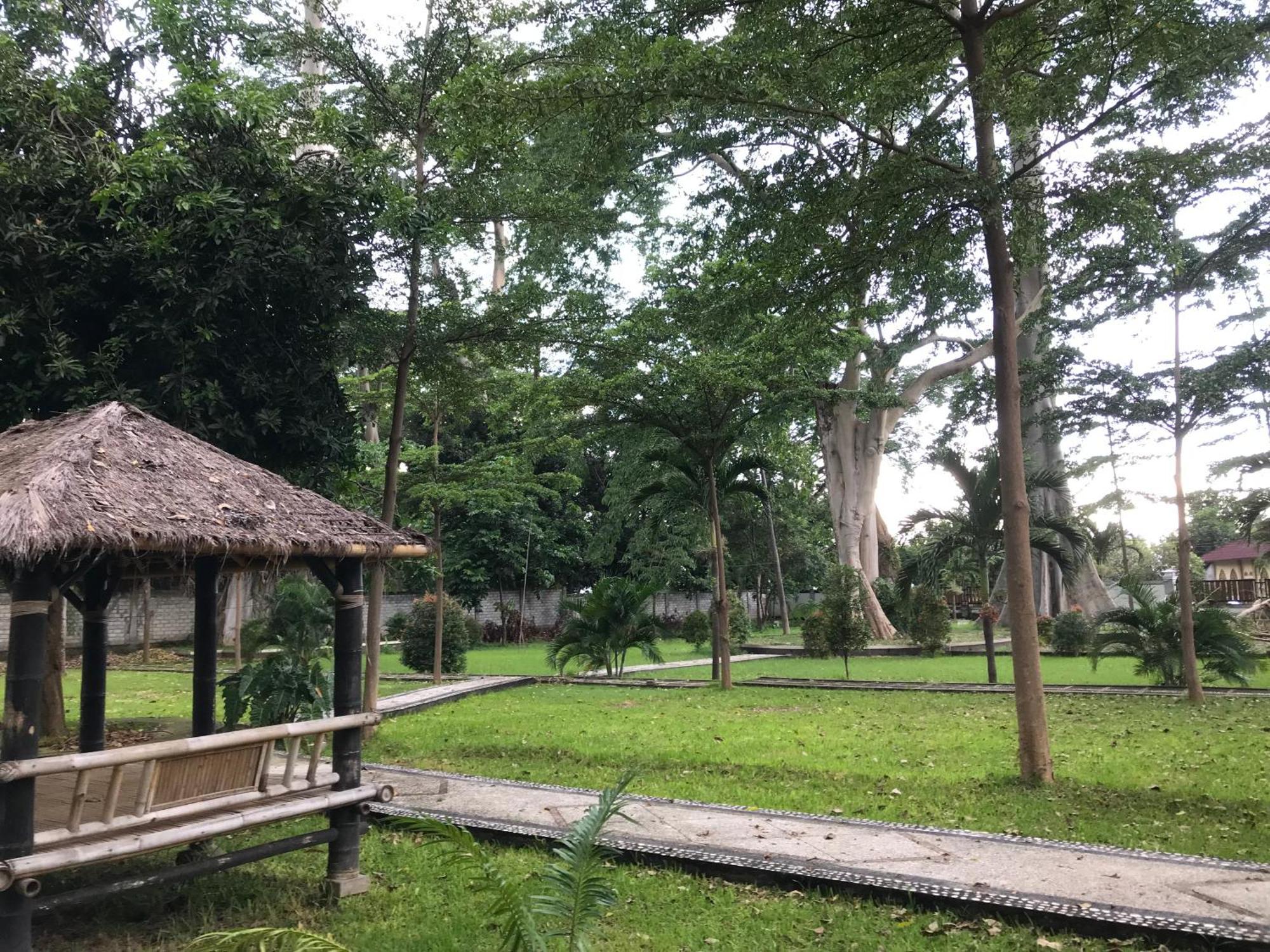 Pohon Purba Resort & Restaurant Labuhan Pandan Ngoại thất bức ảnh