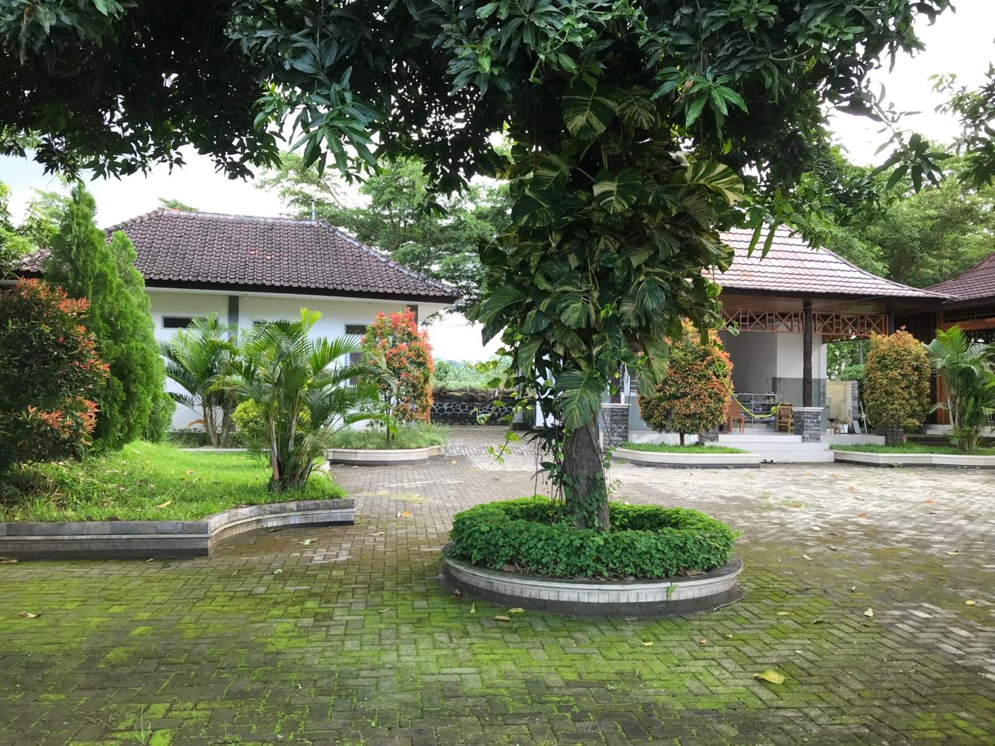 Pohon Purba Resort & Restaurant Labuhan Pandan Ngoại thất bức ảnh