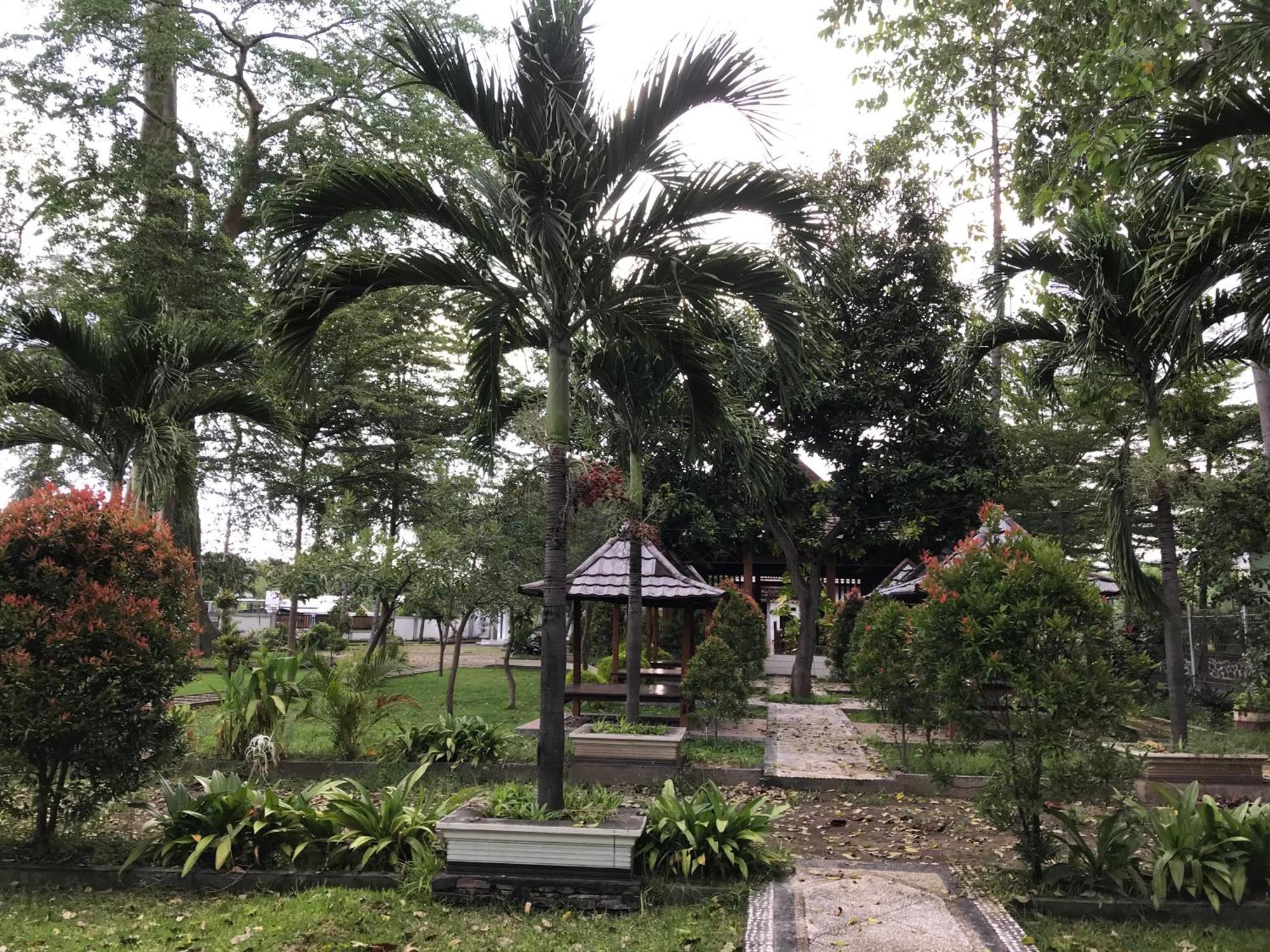 Pohon Purba Resort & Restaurant Labuhan Pandan Ngoại thất bức ảnh