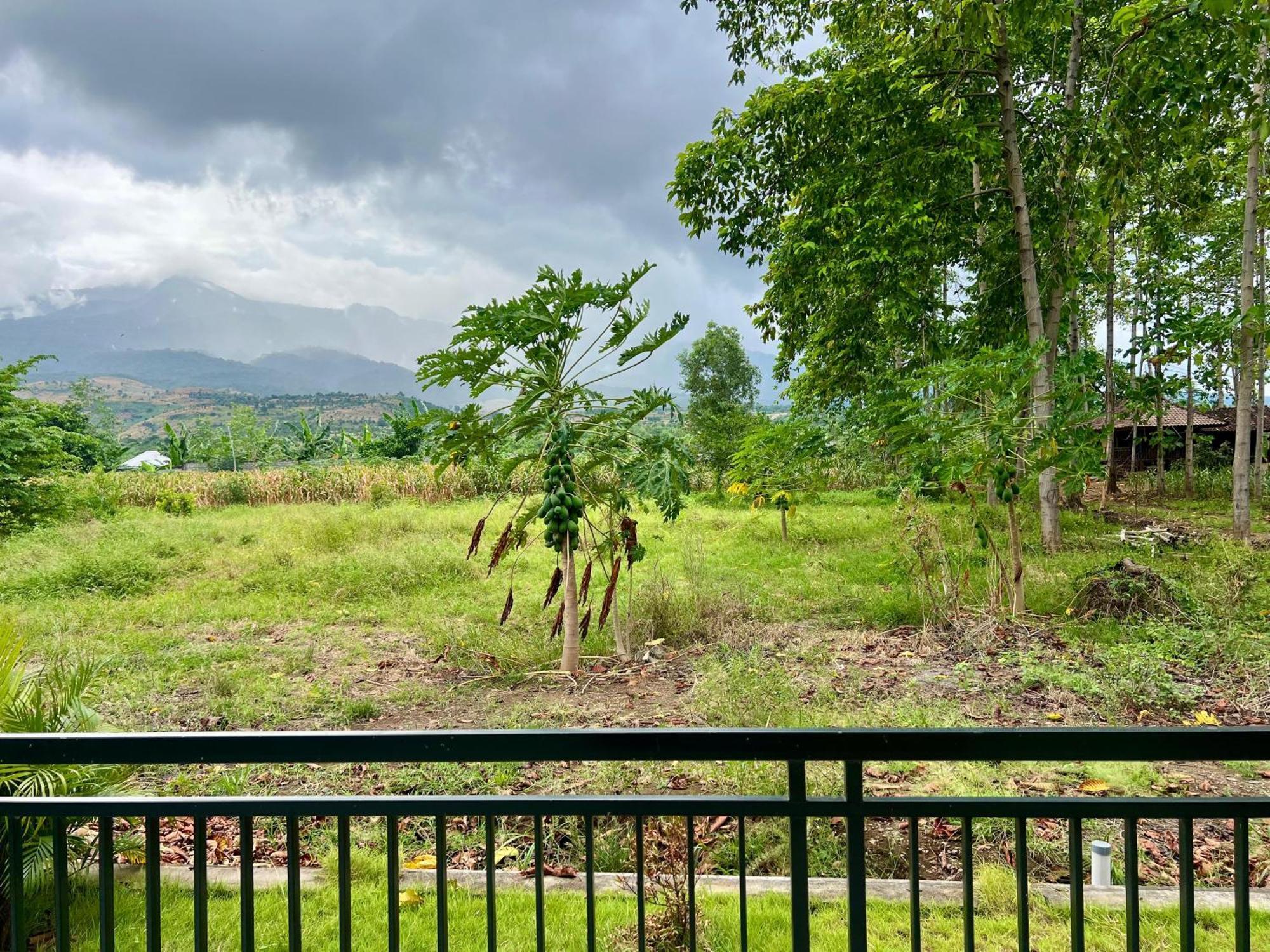 Pohon Purba Resort & Restaurant Labuhan Pandan Ngoại thất bức ảnh