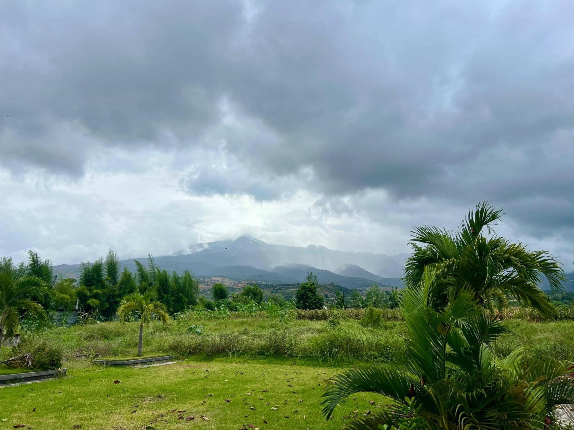 Pohon Purba Resort & Restaurant Labuhan Pandan Ngoại thất bức ảnh
