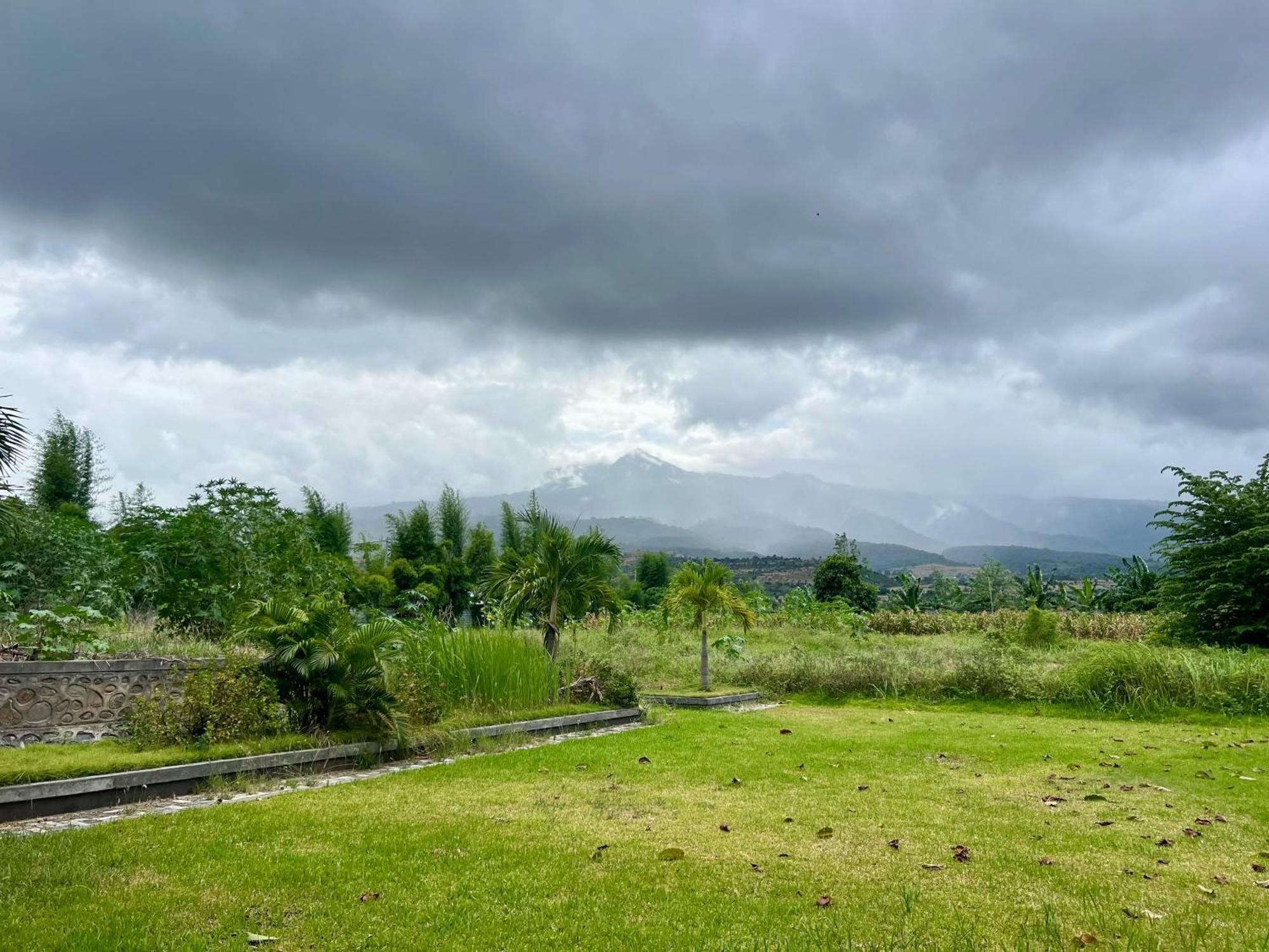 Pohon Purba Resort & Restaurant Labuhan Pandan Ngoại thất bức ảnh
